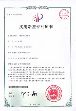Patent Certificate for Low Pressure High Altitude Test Chamber System